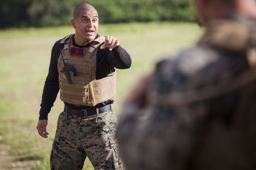 Together as a team, Hawaii Marines receive instructor tab