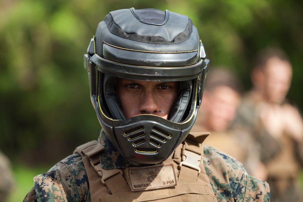 Together as a team, Hawaii Marines receive instructor tab