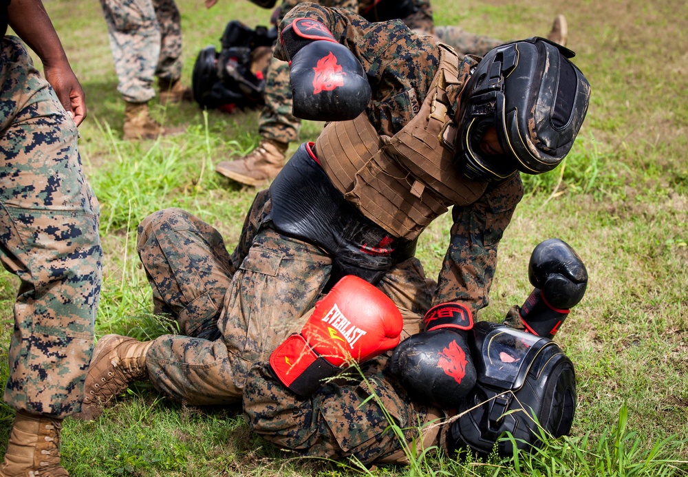 Together as a team, Hawaii Marines receive instructor tab