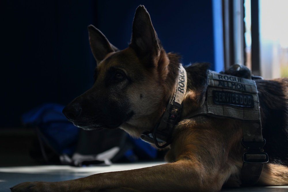 South East Regional CARE Event brings the Warrior Games to Hurlburt