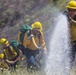 Brushing up on wildfires