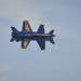 Tuscaloosa Regional Air Show