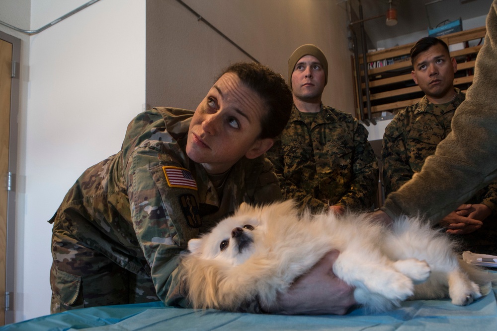 IRT Arctic Care service members get involved