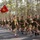 A large formation of U.S. Marines in physical training (PT) uniforms runs in formation along a road lined with tall pine trees. One Marine carries a red USMC guidon flag bearing the Eagle, Globe, and Anchor emblem along with unit designations 'MAG-14' and 'VMGR-252'. The image captures a unit physical fitness run, likely on a military installation in the southeastern United States.