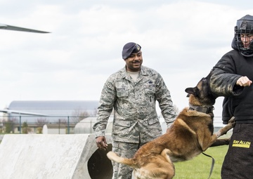 Joey Logano makes a fast lap around Dover AFB