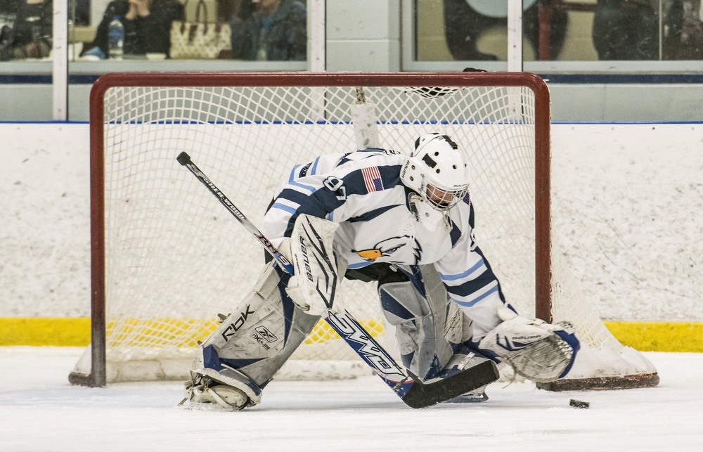 Snapshot: Dover Eagles skate past FOP 8-4