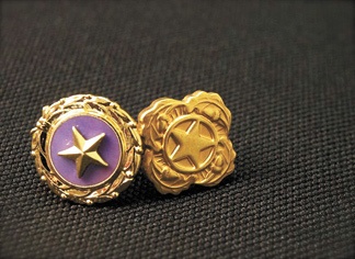 Gold Star parents honored