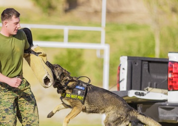 Kicking off Spring with the 4th Annual Earth Day Extravaganza