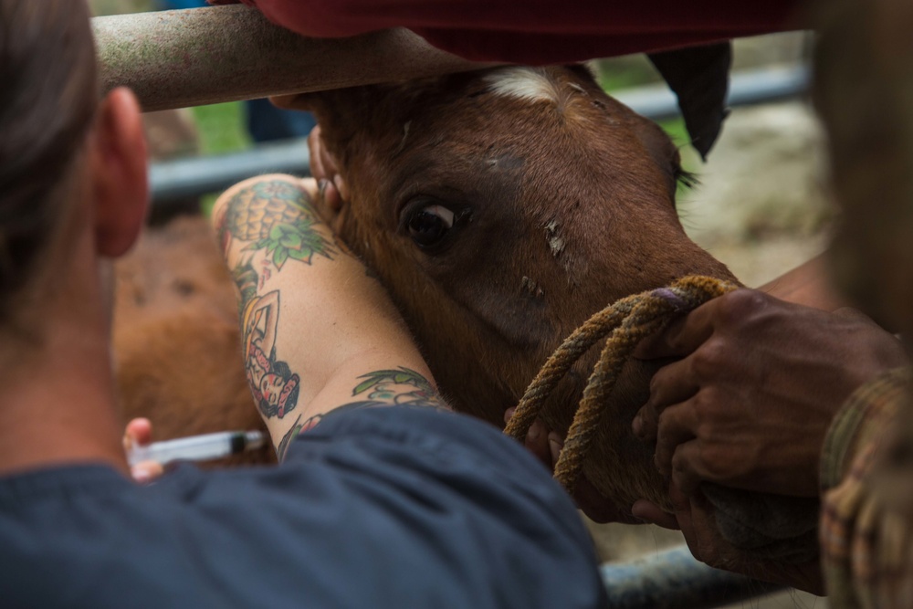 Continuing Promise 2018