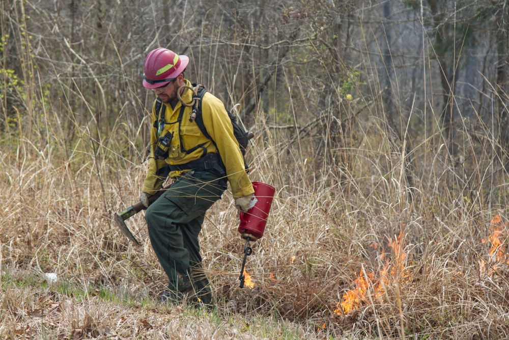YOUR ENVIRONMENT: Using fire to sustain the ecosystem