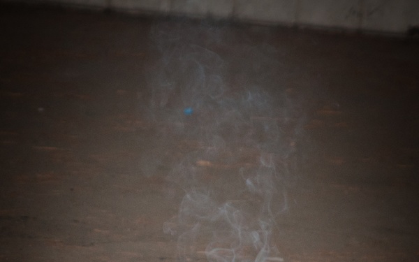 A Visit to the Chamber