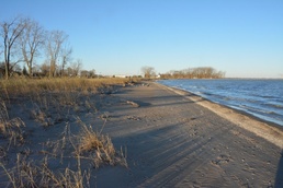Coastal wetland restoration in Port Clinton