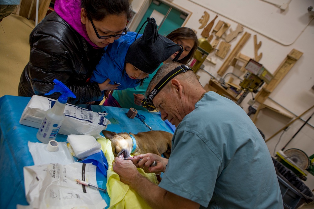 IRT Artic Care provides veterinary care