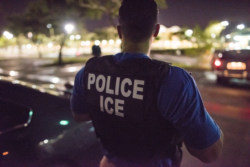 ICE Arrests Criminal Aliens During Operation No Safe Haven 2018