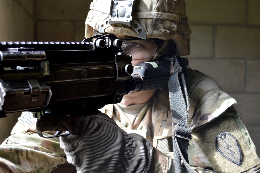 Tropic Lightning Division infantrymen conduct squad live fire