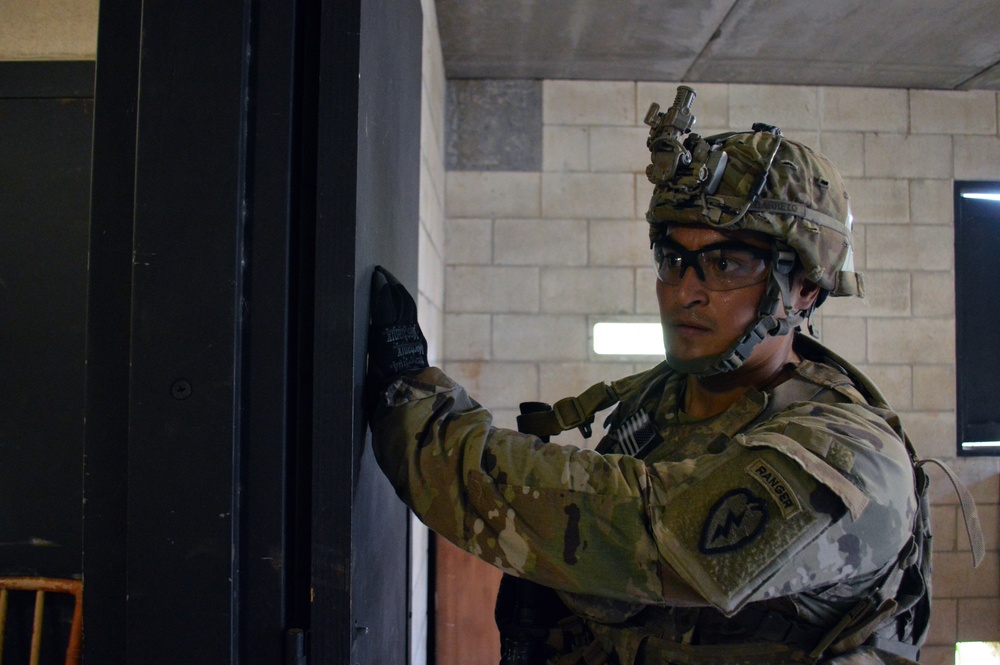 Tropic Lightning Division infantrymen conduct squad live fire