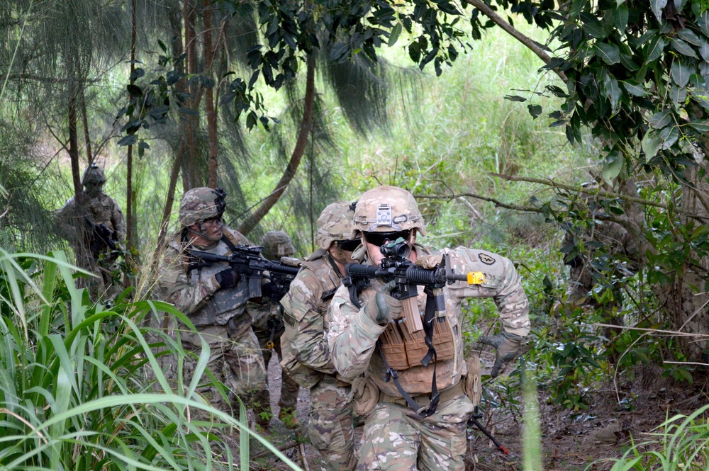 Tropic Lightning Division infantrymen conduct squad live fire