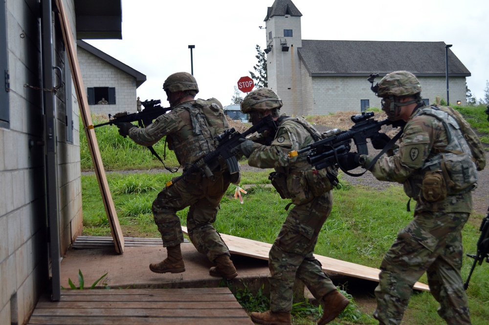 Tropic Lightning Division infantrymen conduct squad live fire