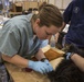 IRT Artic Care provides veterinary care