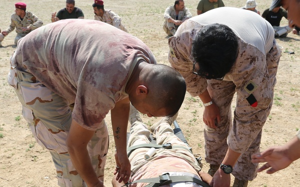 Combat Life Saver course