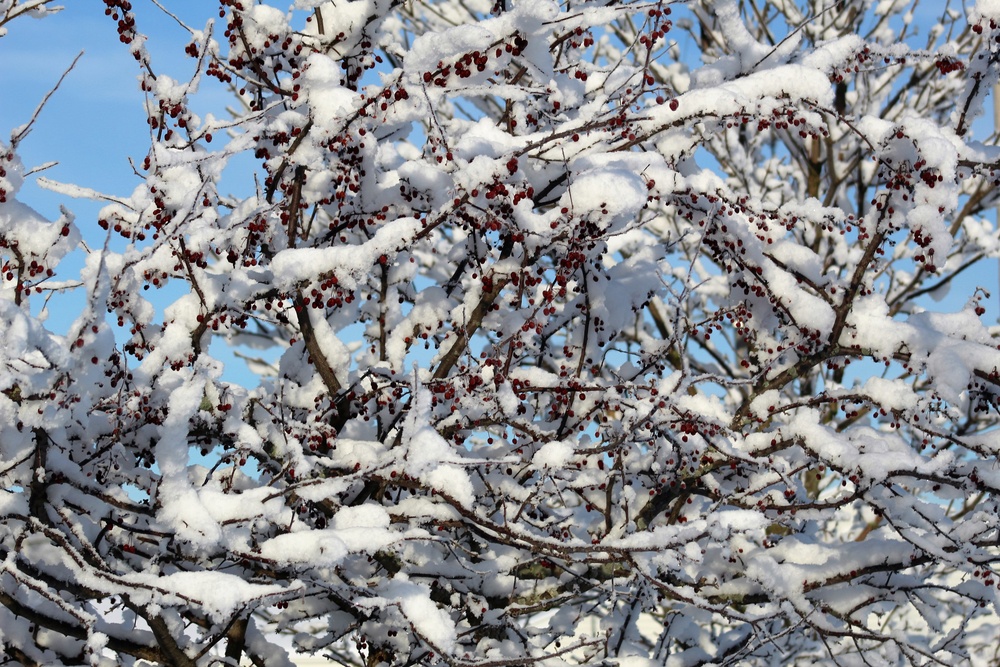 April Snow at Fort McCoy