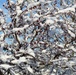 April Snow at Fort McCoy