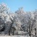 April Snow at Fort McCoy