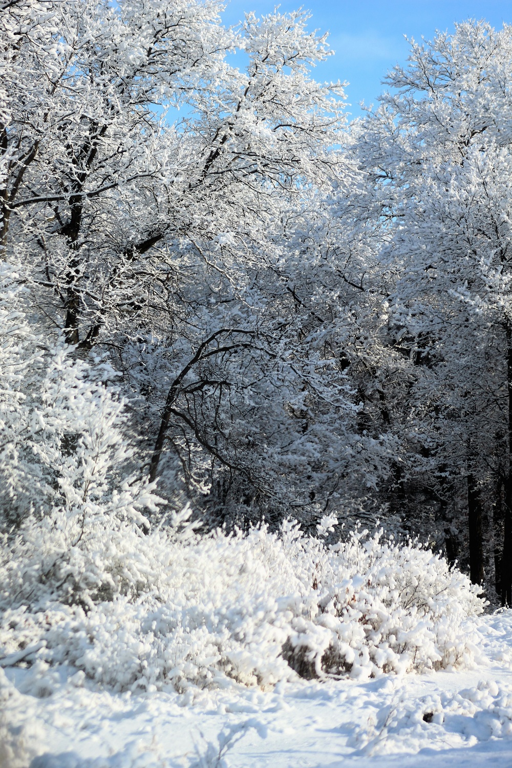 April Snow at Fort McCoy