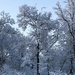 April Snow at Fort McCoy