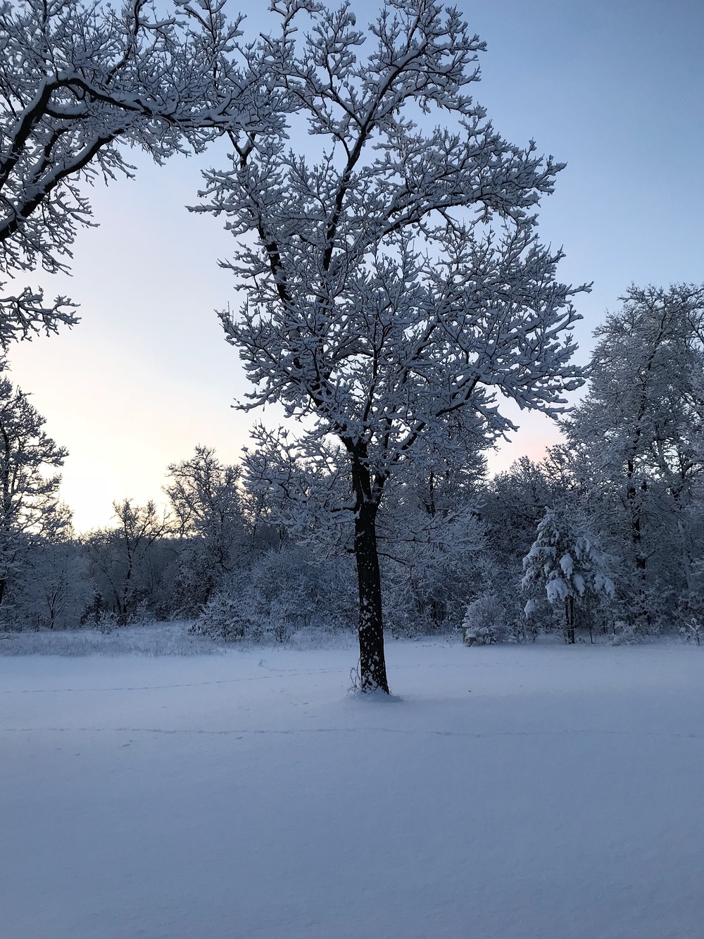 April Snow at Fort McCoy