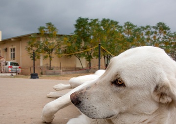 Erby relaxing on base