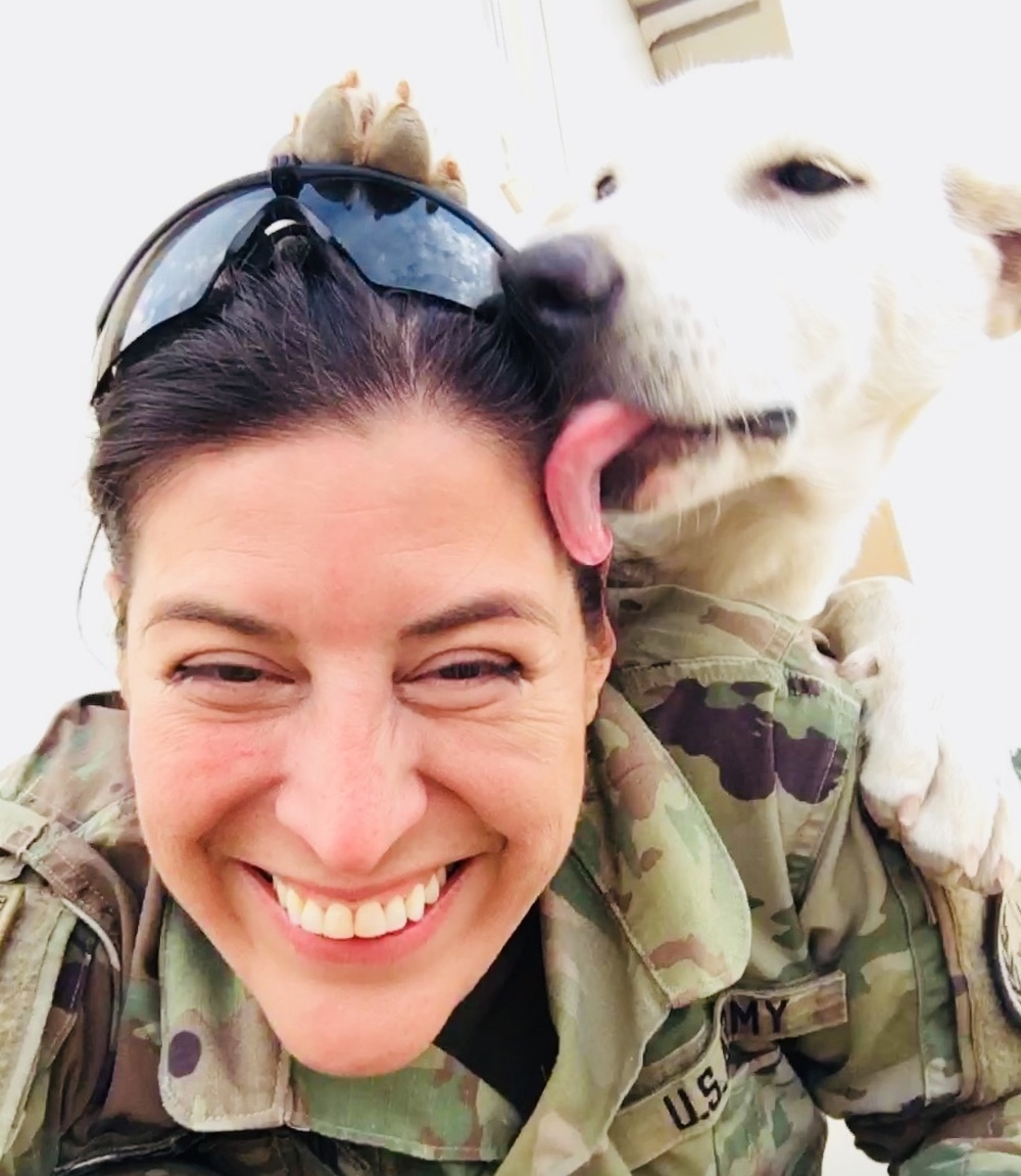 DVIDS - News - Erby of Iraq: Soldier to reunite with stray dog she ...