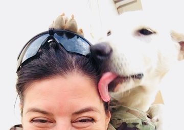 Erby of Iraq: Soldier to reunite with stray dog she adopted while deployed
