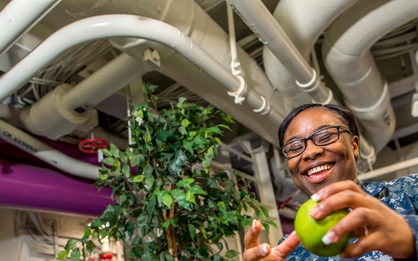 GHWB Sailor stocks apples.