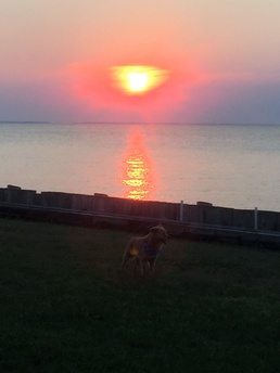 The sun rises on Patuxent River.