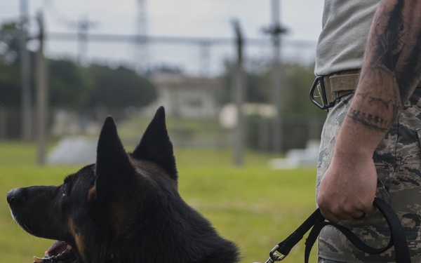18 SFS and 18 AMXS Airmen switch jobs for a day