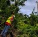 Jayuya distribution line work
