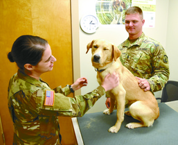 New doc talks services offered at Fort Polk VTF