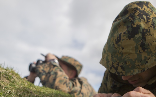 4th ANGLICO takes on day two of Joint Warrior 18