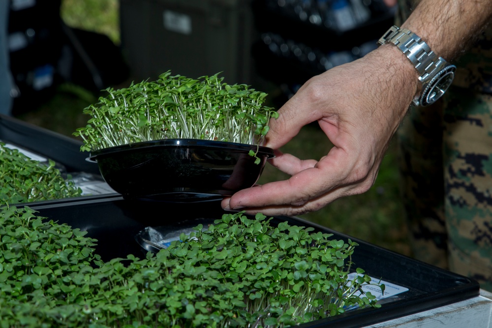 Onslow County Farmers' Market fifth annual Seasonal Opening