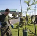 USS Kearsarge Sailors Contribute to New Orleans Tree Project