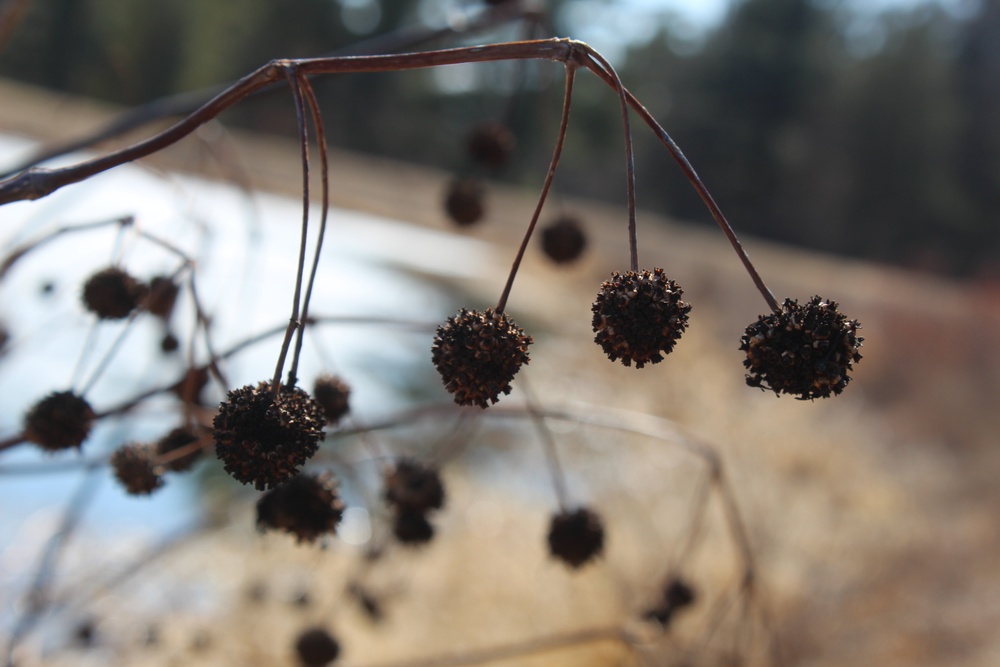 Fort McCoy's Pine View Recreation Area