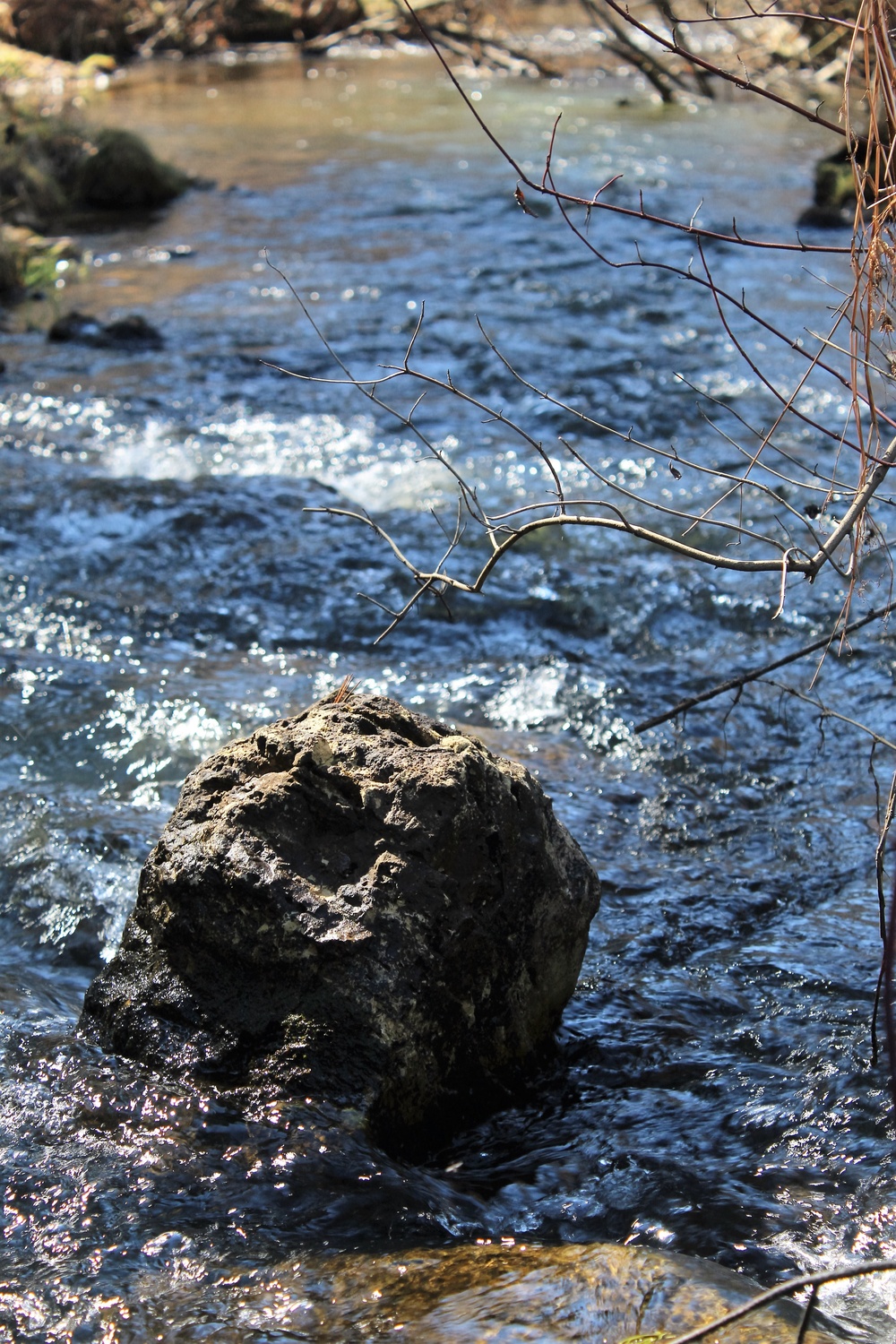 Fort McCoy's Pine View Recreation Area