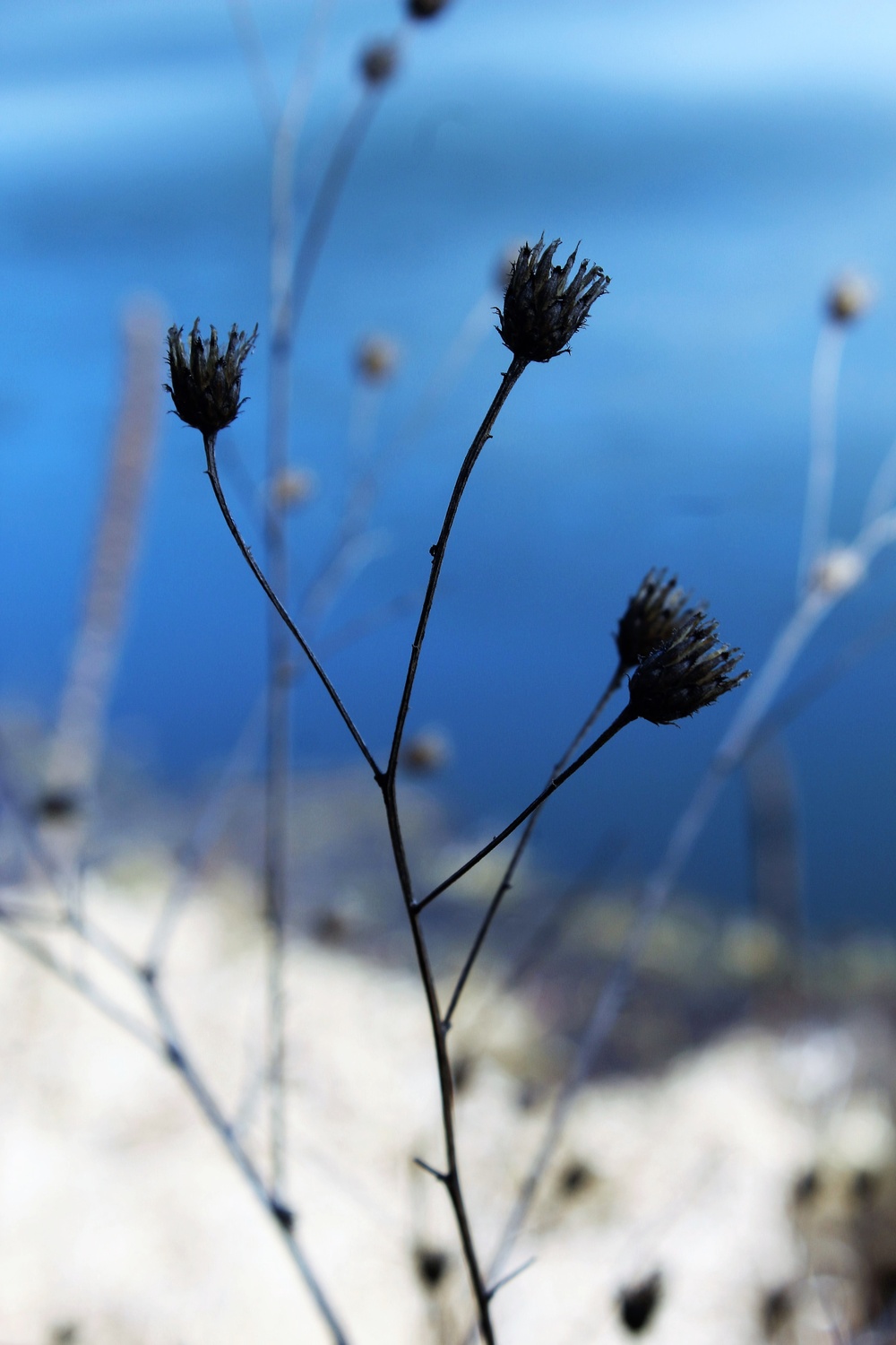 Fort McCoy's Pine View Recreation Area