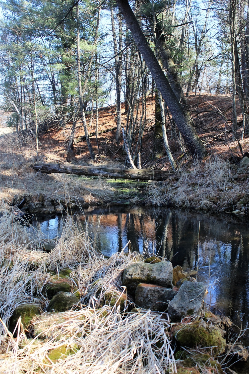 Fort McCoy's Pine View Recreation Area