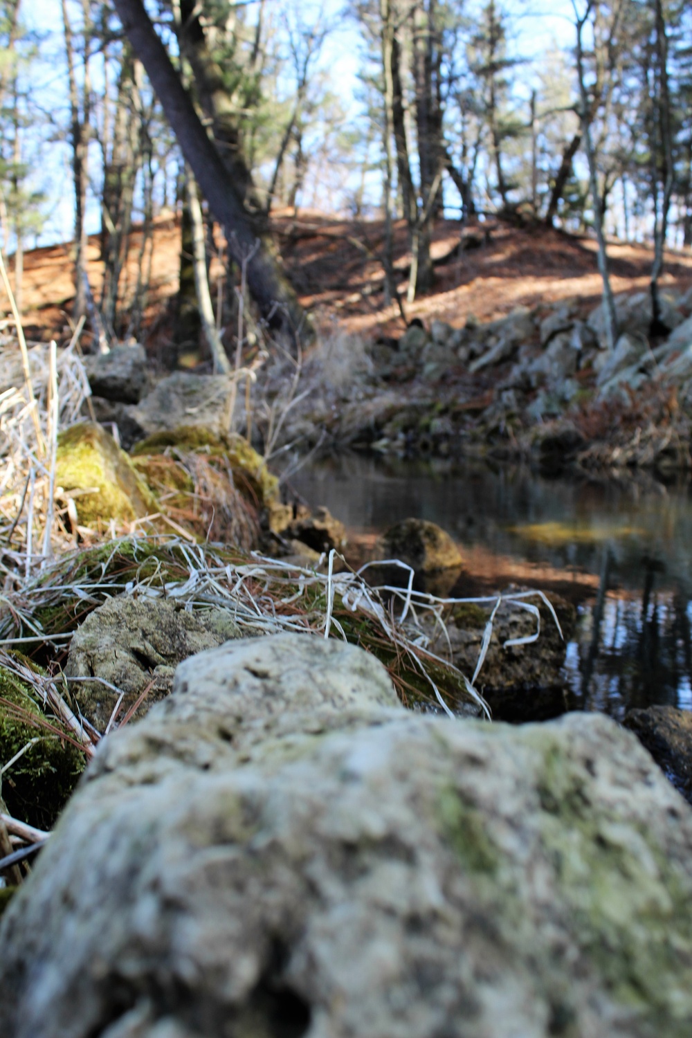 Fort McCoy's Pine View Recreation Area