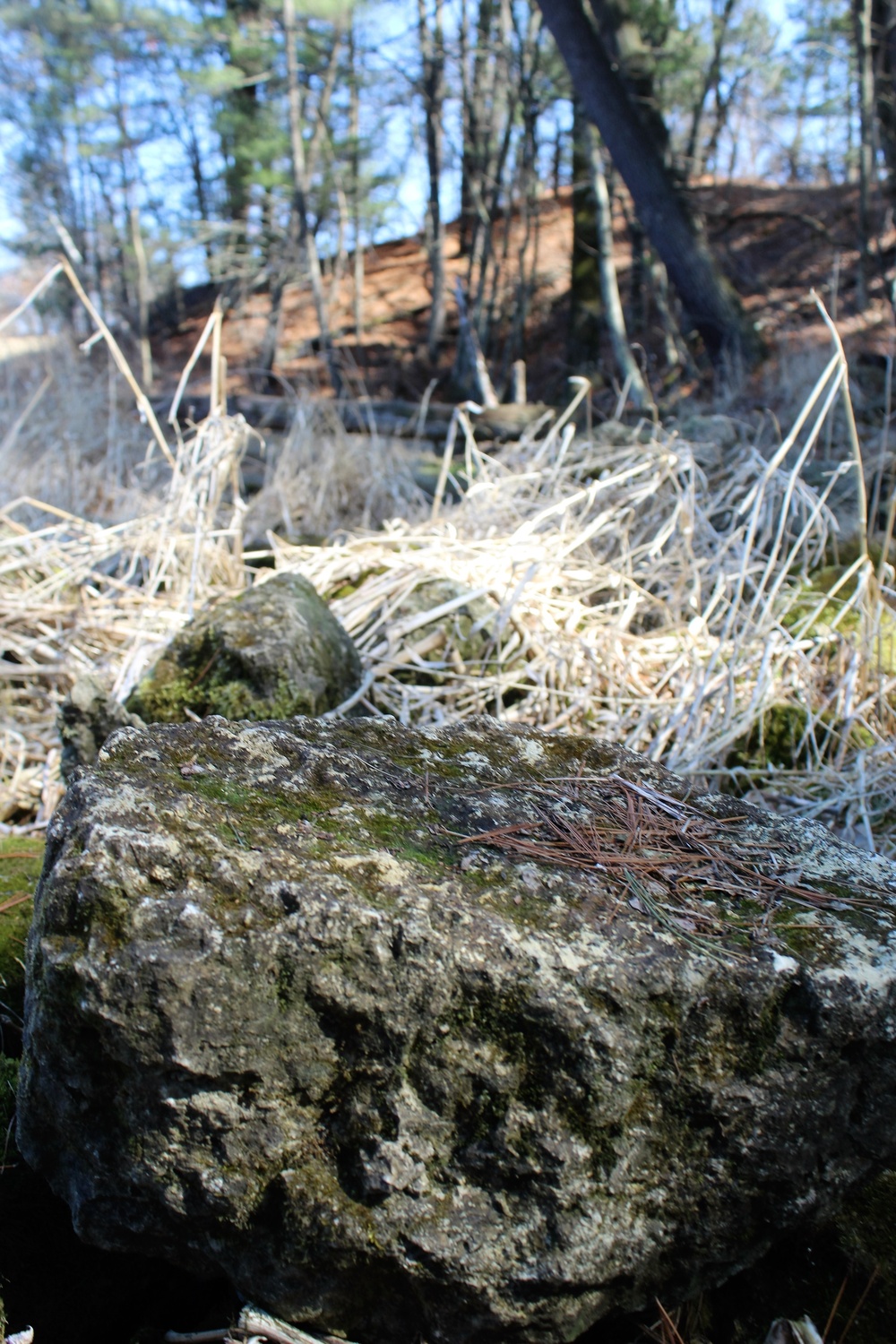 Fort McCoy's Pine View Recreation Area