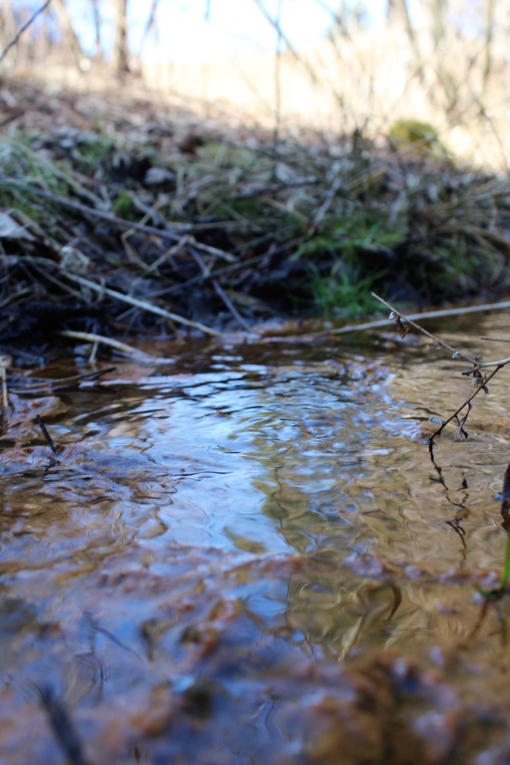 Fort McCoy's Pine View Recreation Area