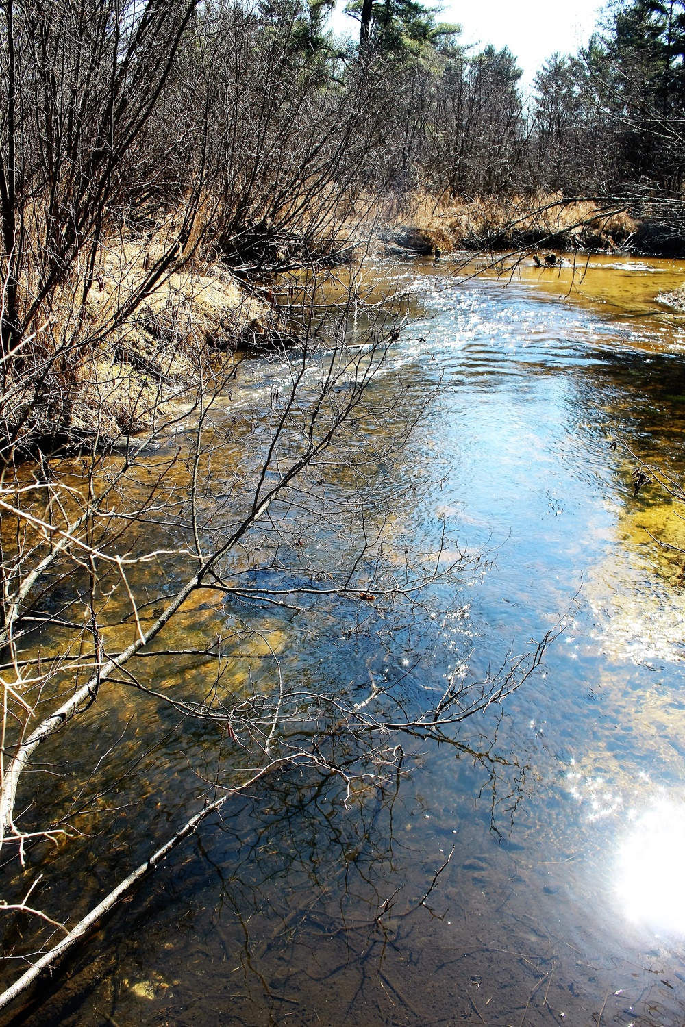 Fort McCoy's Pine View Recreation Area