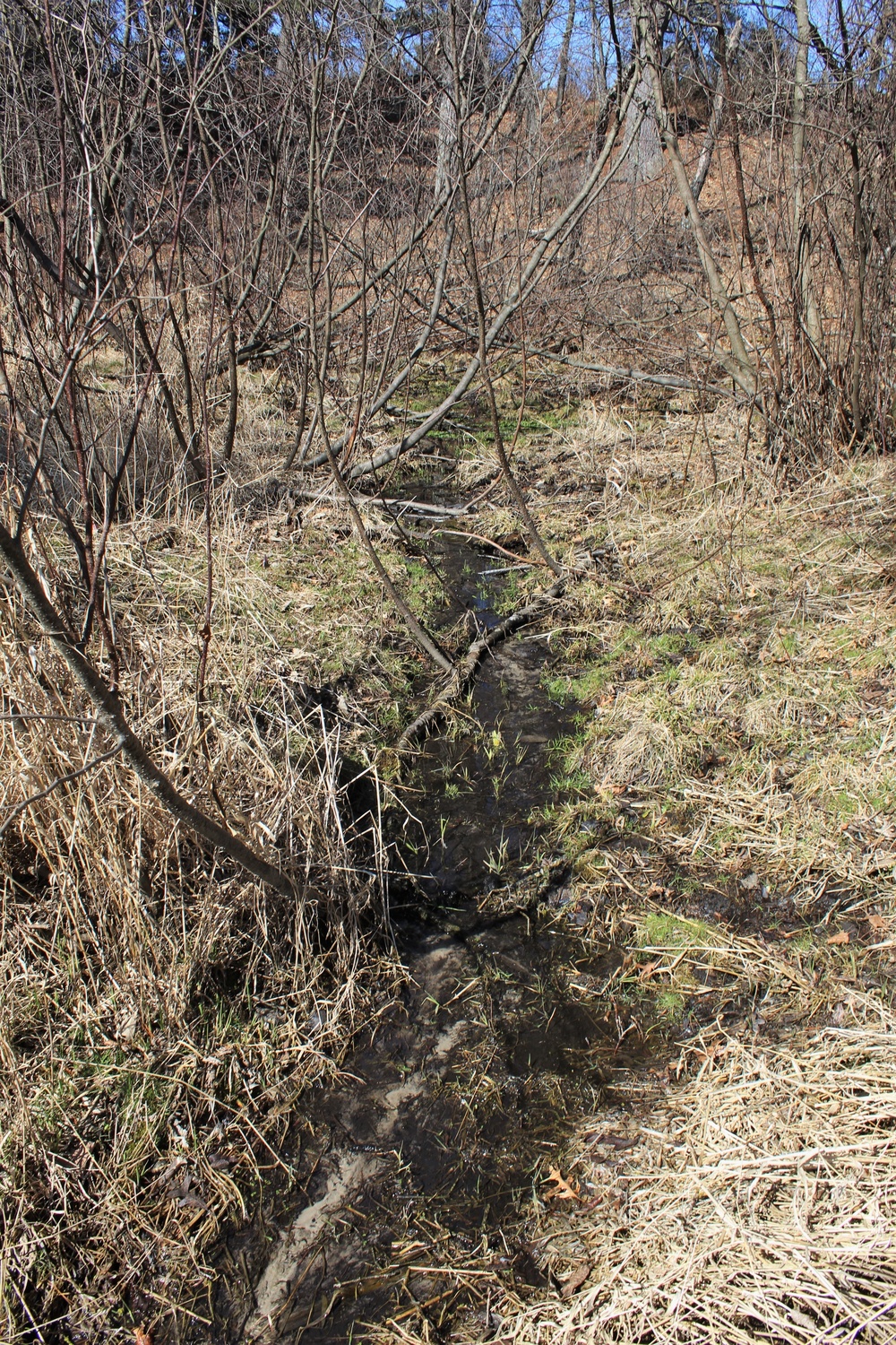 Fort McCoy's Pine View Recreation Area